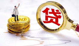 成都11民间大额借贷-成都11民间私人借贷-成都11小额短借